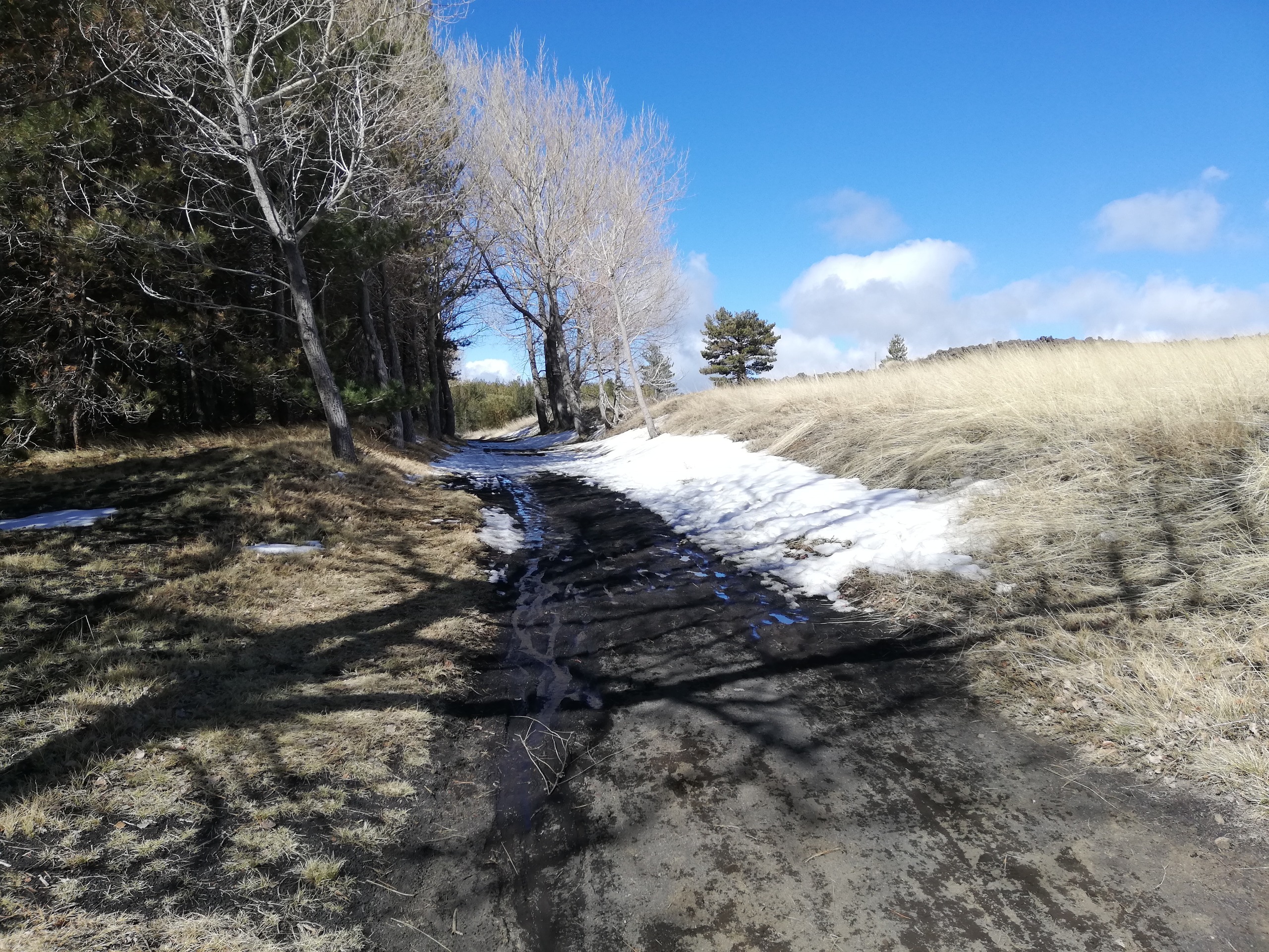 Etna Altomontana – Etna Trekking Tour