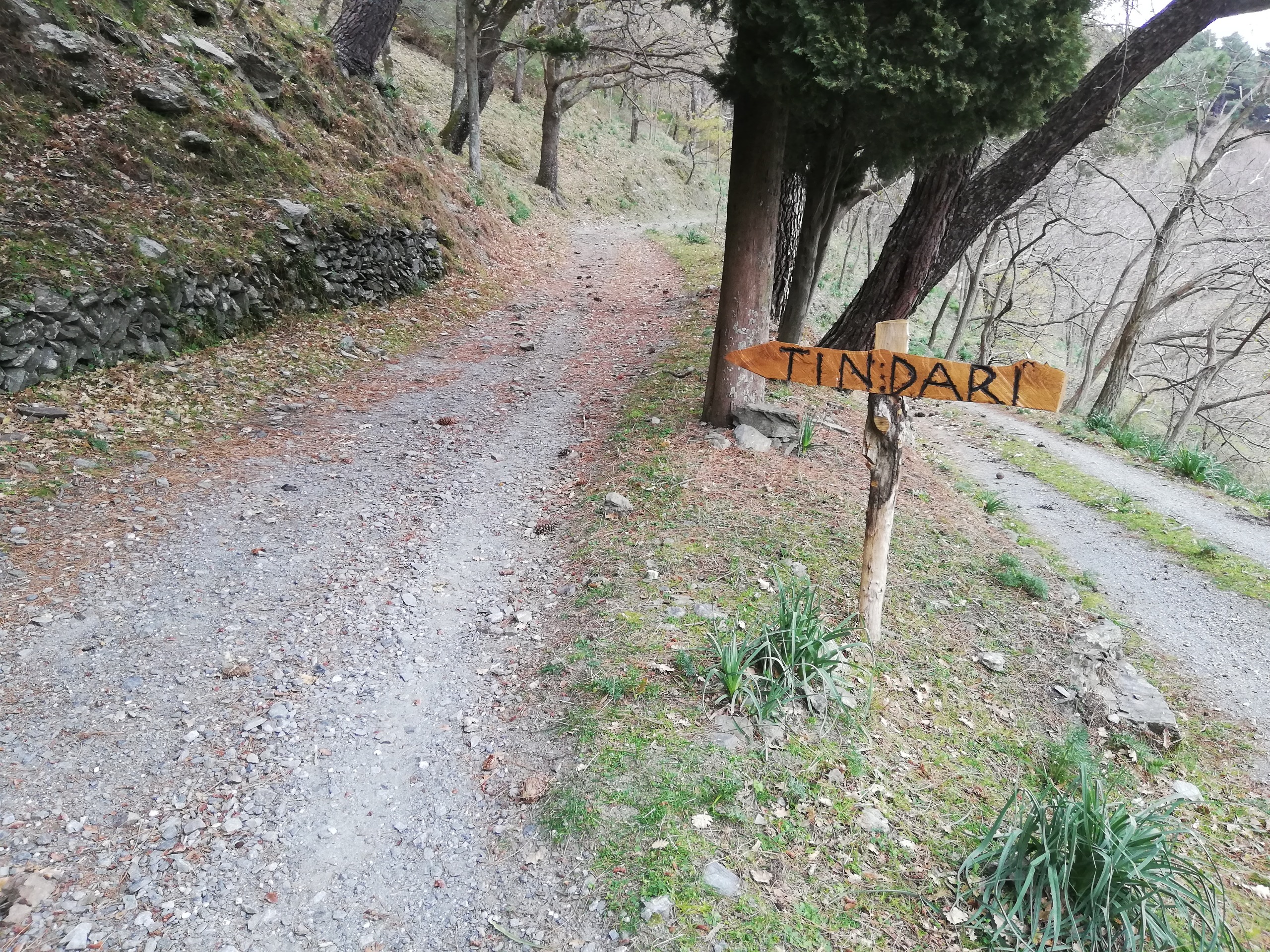 Peloritani Mandarici – Etna Trekking Tour