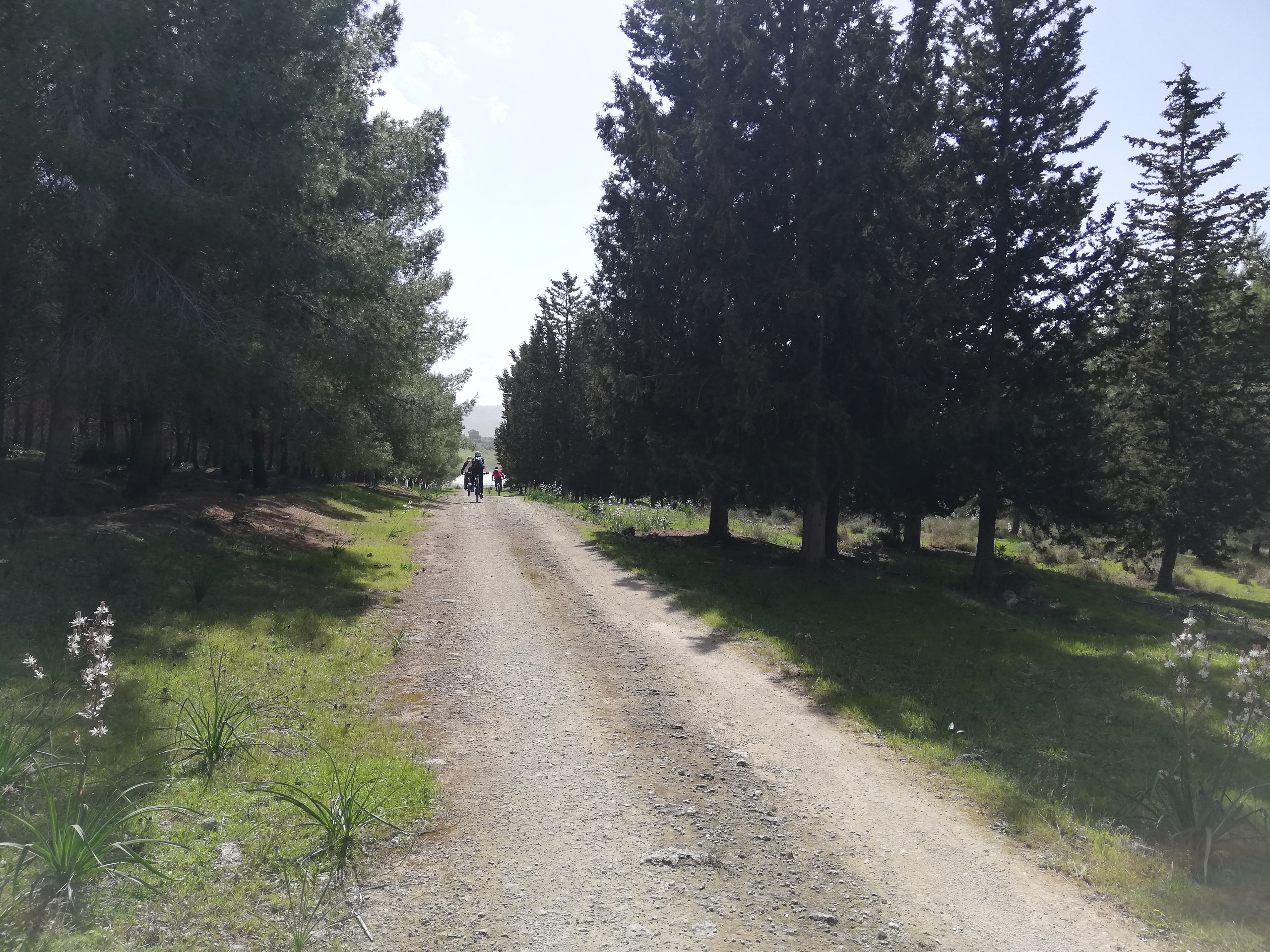 Sentiero Raforosso – Etna Trekking Tour